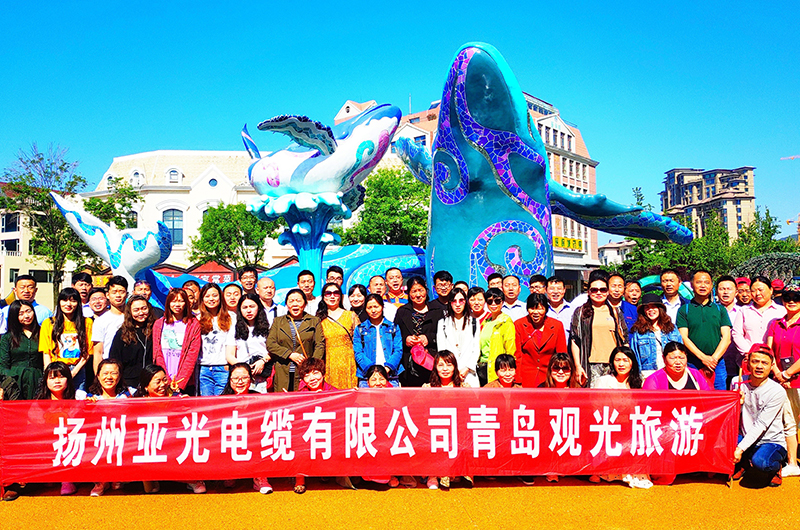 Yangzhou Yaguang Cable Co, Ltd.