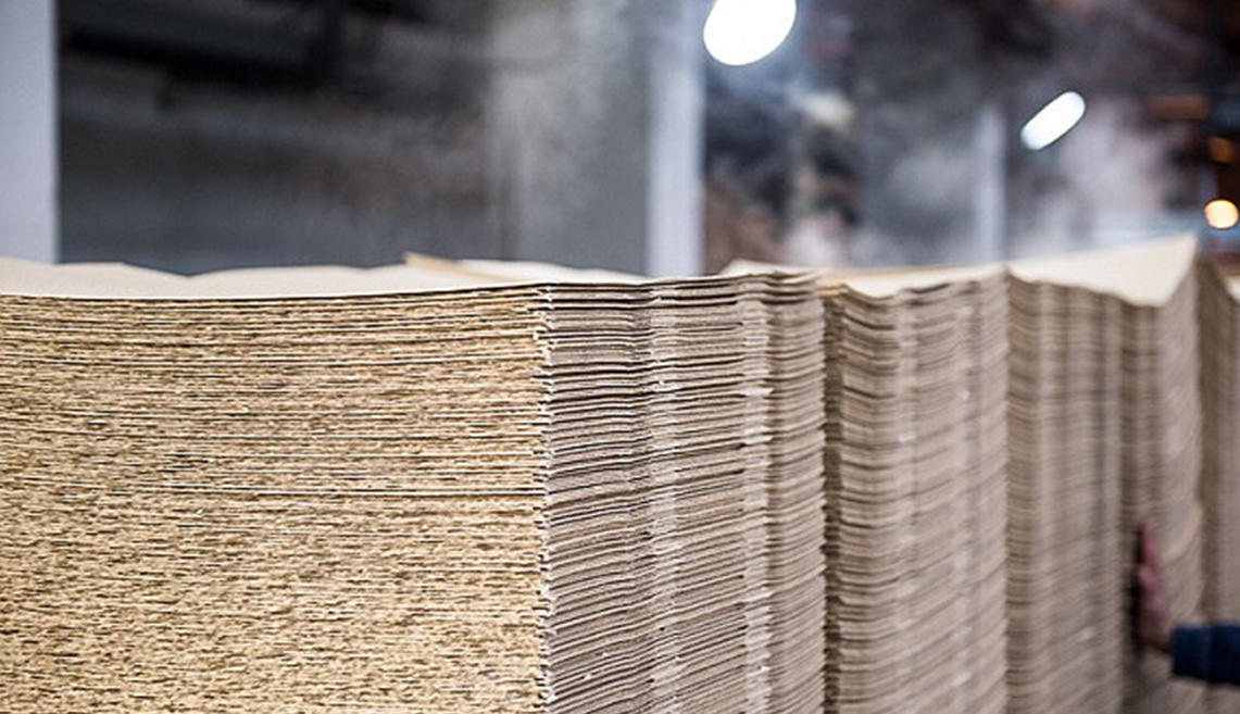 Shandong Rizhao Pulp Project